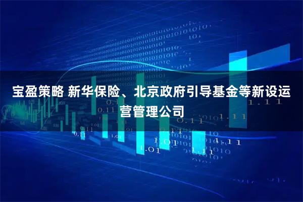 宝盈策略 新华保险、北京政府引导基金等新设运营管理公司